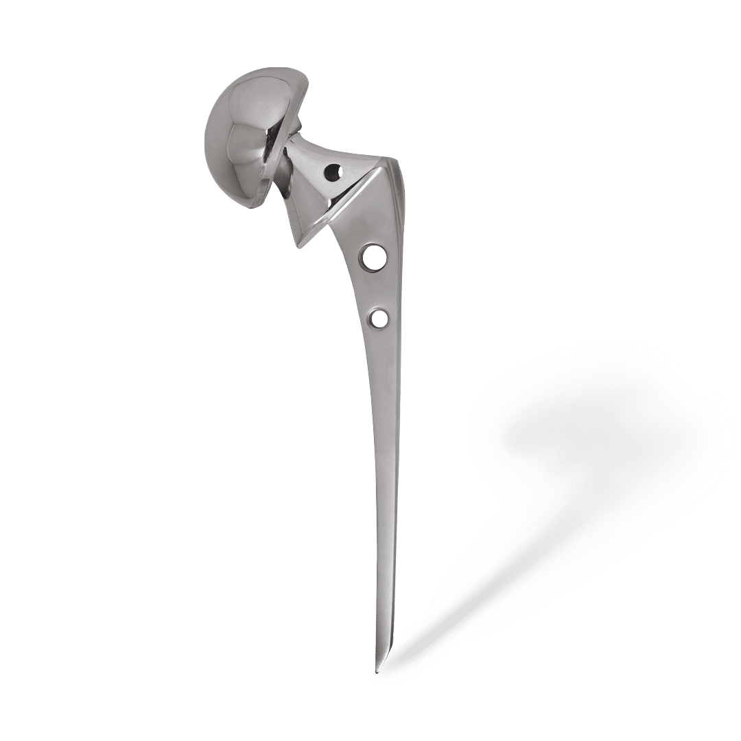 Hip Implants